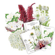 Seed packets for the Moon Garden bundle fanned out beside illustrated flowers including white moonflower, red celosia plumes, white scabiosa pincushion blooms and a coneflower, with packet text naming each variety and a moth illustration in the foreground.