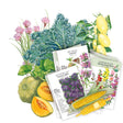 Illustration of various vegetables, flowers, and seed packets included in the Midwest Seed Bundle on a white background