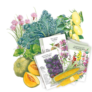Illustration of various vegetables, flowers, and seed packets included in the Midwest Seed Bundle on a white background