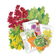 A seed packet bundle from Botanical Nursery featuring illustrated seed packets for carrot, zinnia, marigold, and brassica seeds, and other seeds included in the Northeast Seed Bundle arranged with matching colorful plants on a white background.