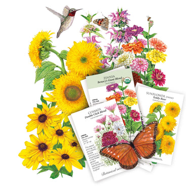 Collection of flower seeds packets included in the Pollinator’s Paradise Seed Bundle with illustrations of flowers and a hummingbird on a white background