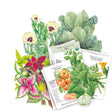 A styled flat-lay arrangement of illustrated seed packets and botanical plant illustrations on a white background. Visible packet includes Southeast Seed Bundle assortment