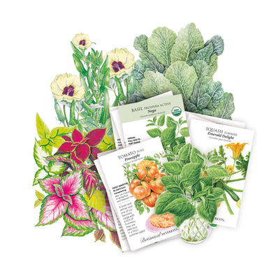 A styled flat-lay arrangement of illustrated seed packets and botanical plant illustrations on a white background. Visible packet includes Southeast Seed Bundle assortment