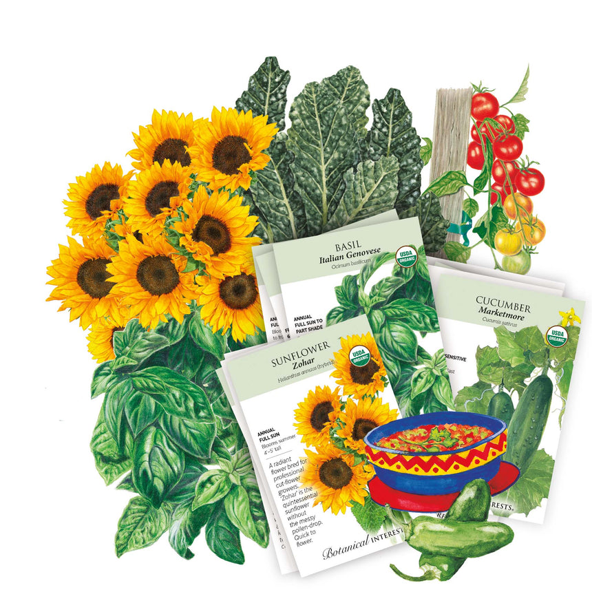 Collection of sunflower seeds, basil plants, and seed packets included in the The Beginner’s Garden Seed Bundle on a white background