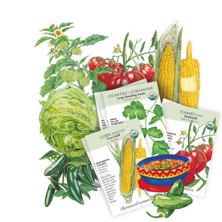 Three seed packets for vegetables arranged on a white background with illustrated and photographed versions of the seeds, including corn, tomatoes, cabbage, and jalapeños.