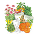 Collection of seed packets included in the Warm Season Garden Seed Bundle with illustrations of plants and pumpkins on a white background