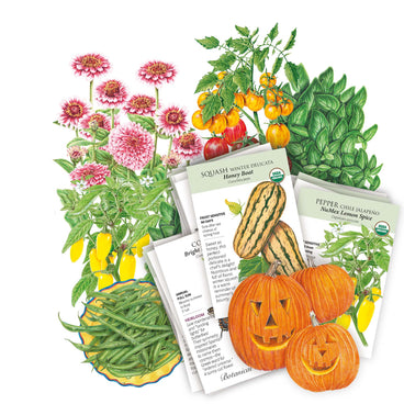 Collection of seed packets included in the Warm Season Garden Seed Bundle with illustrations of plants and pumpkins on a white background