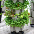 Stacked tiers of a stone-coloured GreenStalk vertical planter on wheeled castors, densely filled with mixed salad greens including basil, red and green lettuce, planted through side pockets, standing on a wooden deck with similar towers visible in the background.