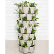 Tall stackable vertical planter with six tiers of overlapping stone-grey pockets on a mobile base, densely planted with leafy herbs and greens like thyme, basil and lettuce, set against a white shiplap wall.