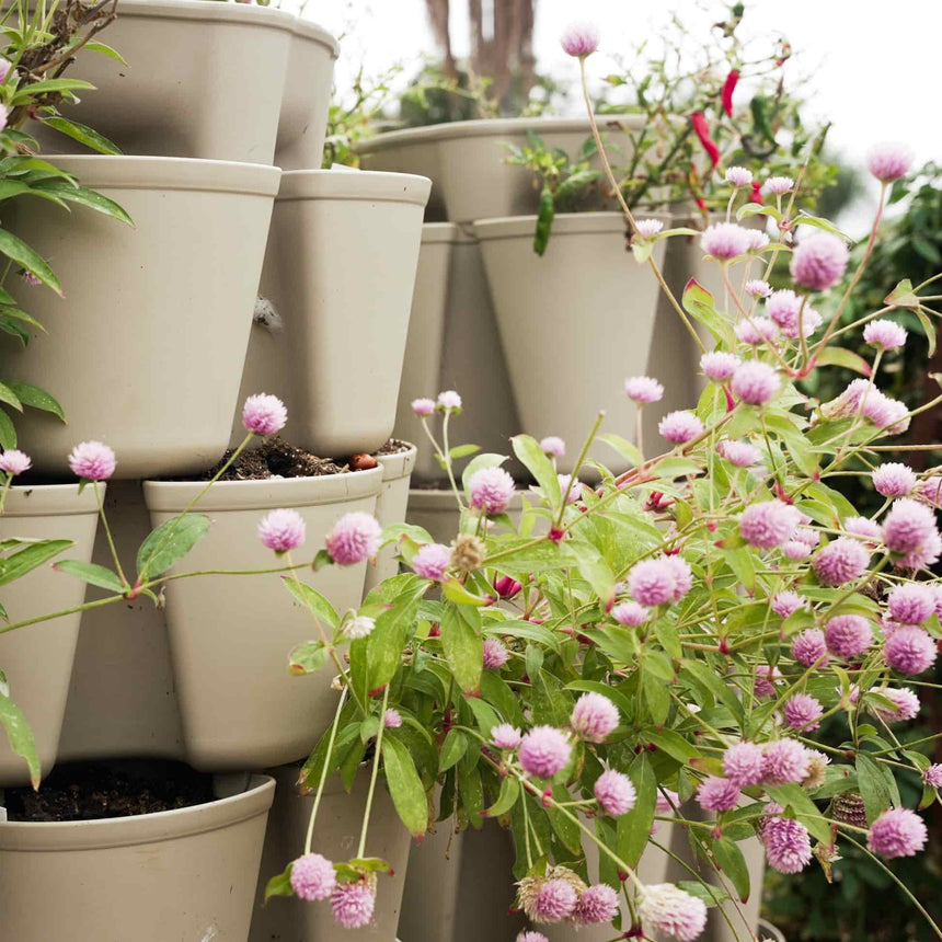 Stacked tiers of a tan-coloured vertical planter, each pocket filled with soil, with globe amaranth's clover-like pink pom-pom flowers cascading over the pots amid green foliage.