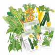 “I Forgot to Water” Veggie Pack
