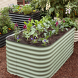 Sage-green corrugated metal raised garden bed planted with pink snapdragons, purple pansies, and leafy vegetables, set on mulch beside a similar black raised bed and tall foxgloves in a garden setting.