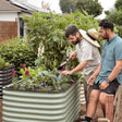Two men tend a sage-green corrugated metal raised garden bed planted with kale, snapdragons, violas, and foxgloves, one holding a trowel while the other looks on, with a lush eggplant patch and backyard fence behind them.