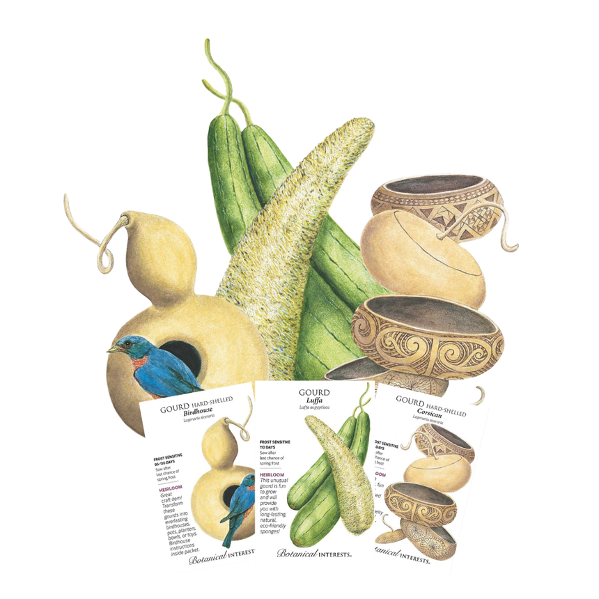 Odd Gourds Bundle