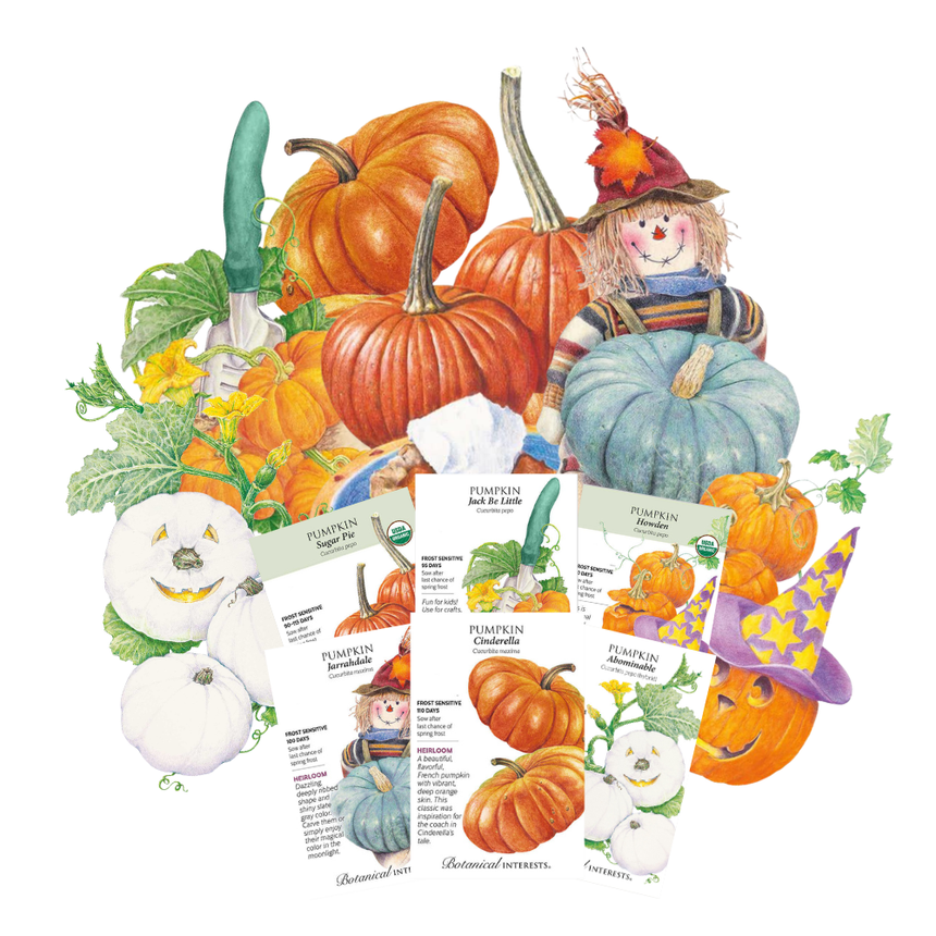 Pumpkin Patch Bundle