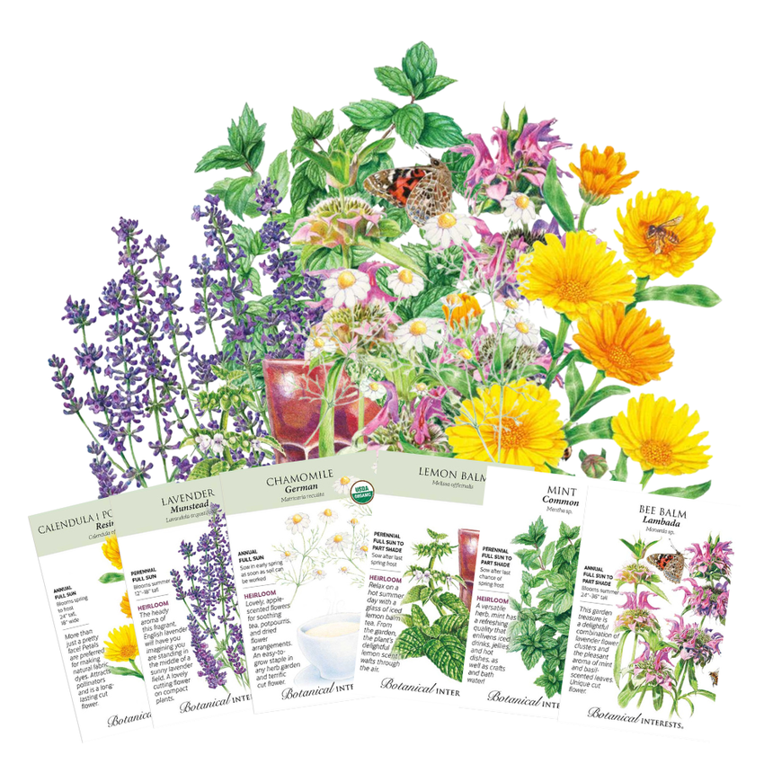 Tea Bundle