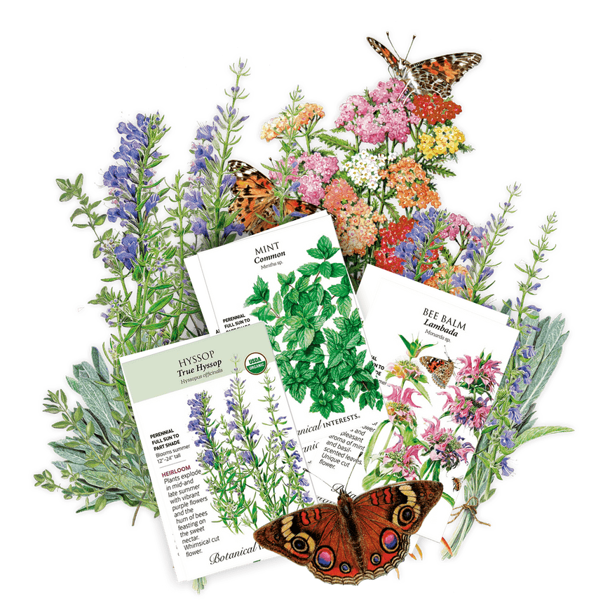 Herb packets included in the The Witches Patch with illustrations and butterfly designs