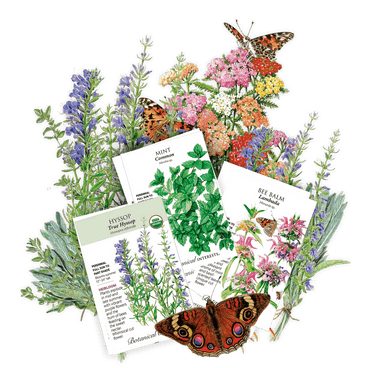 Herb packets included in the The Witches Patch with illustrations and butterfly designs