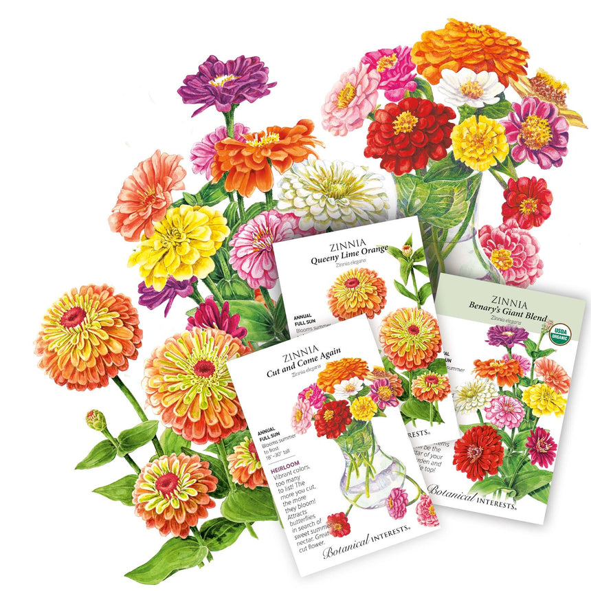 @bloomingjoyflowerco Beginner's Zinnia Collection