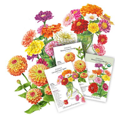 @bloomingjoyflowerco Beginner's Zinnia Collection