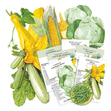 Illustrated seed packet collection for the Backyard Homestead bundle, featuring five overlapping packets labeled Carrot Carnival Blend, Squash Early Prolific Straightneck, Cabbage Copenhagen Market, Bean Bush Filet, Corn Sweet True Gold, and Squash Dirani, each showing sowing details and days-to-harvest, set against painted illustrations of yellow squash, corn, cabbage, and green beans.