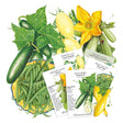 Five Botanical Interests seed packets—Dirani squash, Cream Sausage tomato, Poinsett 76 cucumber, Early Prolific Straightneck squash, and French Filet bush bean—fanned over illustrations of ripe cucumbers, yellow squash, a squash blossom, and a bowl of green beans.