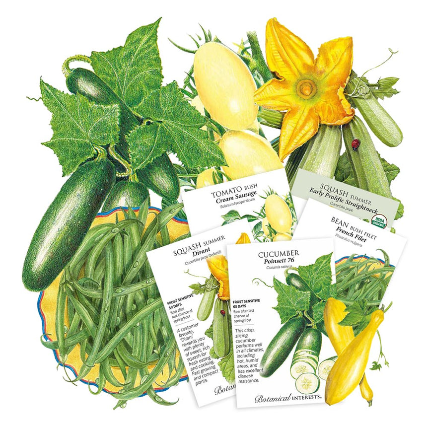 Five Botanical Interests seed packets—Dirani squash, Cream Sausage tomato, Poinsett 76 cucumber, Early Prolific Straightneck squash, and French Filet bush bean—fanned over illustrations of ripe cucumbers, yellow squash, a squash blossom, and a bowl of green beans.