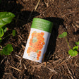 Botanical Interests Orange California Poppy Seed Shaker canister on soil with plants around
