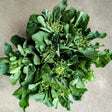 Overhead view of freshly harvested Chinese broccoli (kailaan) with dark green ruffled leaves and clusters of small unopened flower buds atop tender stems, arranged in a rounded bunch on a concrete surface.