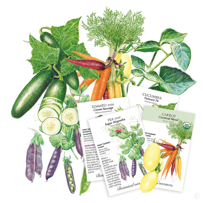 Fanned array of four illustrated seed packets—Tomato Bush Cream Sausage, Cucumber Poinsett 76, Pea Snap Sugar Magnolia, and Carrot Carnival Blend—layered over botanical drawings of cucumbers, purple-pod peas, multicoloured carrots, and pepper leaves, with each packet's text noting variety details and days to maturity.