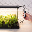 A hand adjusts the three-button remote controller of a black indoor grow light suspended over a tray of young herb and lettuce seedlings on a kitchen counter.