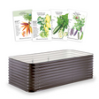 A rectangular corrugated metal raised garden bed in dark grey with a white interior, shown beneath four Botanical Interests seed packets for Carnival Blend carrots, Cream Sausage bush tomatoes, Poinsett 76 cucumbers, and Sugar Magnolia snap peas, each labelled with variety details and illustrations.