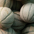 Close-up of several ripe Hearts of Gold cantaloupes piled together, their pale green-grey skin covered in dense, raised netting and faint dark rind stripes running from top to bottom.