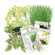 Four USDA organic seed packets for chives, catnip, wheatgrass juice wheat, and dill, each with growing instructions and illustrations, arranged against botanical artwork of dill flowers, wheatgrass, catmint leaves, and a swallowtail butterfly.