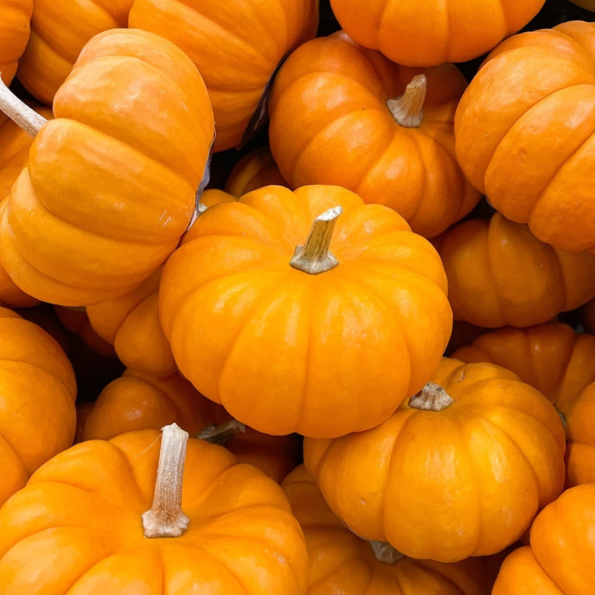 Close-up of a pile of small, deeply ridged Jack Be Little pumpkins with vivid orange skin and tan curved stems, packed tightly together.