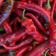 Close-up of glossy red Jimmy Nardello sweet peppers piled together, their long, thin, slightly wrinkled pods twisting among one another with green stems still attached.