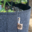 Close-up of a grey fabric Epic Gardening grow bag with reinforced stitched seams and a cardboard brand tag, filled with potting mix and perlite around a young leafy plant seedling.