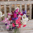 A glass vase of freshly cut sweet peas in mixed shades of magenta, pink, purple and white, arranged on a weathered wooden bench against a stone wall backdrop.