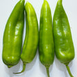 Four green NuMex Heritage Big Jim Hatch Chile Peppers on a white background