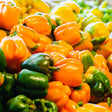 Close-up of a large pile of glossy bell peppers in orange and green, their smooth curved lobes catching the light and stacked densely to fill the frame.