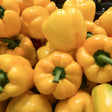Close-up of glossy golden-yellow bell peppers with green stems, piled together showing their smooth, rounded lobed shape and ripe colour.