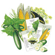 Three illustrated seed packets for Cucumber Poinsett 76, Dill Bouquet, and Corn Sweet True Gold, each with growing details like days to maturity and sun needs, arranged among painted cucumbers, corn cobs, dill flowers, and a black swallowtail butterfly.