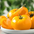 Close-up of freshly harvested golden-yellow Pork Chop tomatoes on a white ceramic plate, including a whole beefsteak tomato and cut halves displaying juicy seed cavities, with foliage blurred in the background.