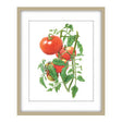 Botanical Art Prints