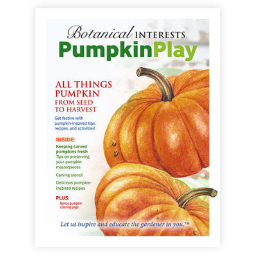 Pumpkin Play Activity E-Book