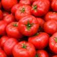 Close-up of a densely packed pile of ripe Red Pride bush tomatoes, their smooth glossy skins bright red and topped with fresh green star-shaped calyxes.