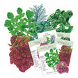 Five overlapping USDA organic seed packets—Kale Premier Blend, Spinach Bloomsdale, Lettuce Leaf Red Sails, Arugula/Rocket, and Lettuce Butterhead Marvel of Four Seasons—arranged over botanical illustrations of their crinkled green and burgundy leaves, with packet text noting frost tolerance and 20–45 day maturity.
