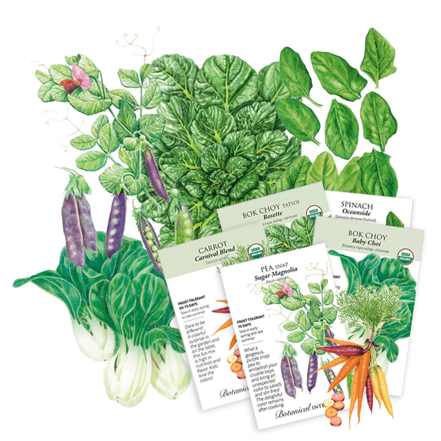 Stir Fry Garden seed bundle showing four packets—Bok Choy Rosette, Bok Choy Baby Choi, Spinach Oceanside, Carrot Carnival Blend, and Pea Snap Sugar Magnolia—each labelled organic with growing details, layered over illustrated produce including purple-podded peas, bok choy heads, spinach leaves and multicolored carrots.