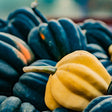 A close-up pile of ribbed acorn squash, mostly dark green with visible orange striping, and one solitary yellow-orange squash with its curved stem prominent in the foreground.