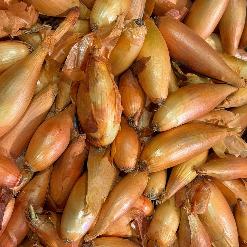 Close-up of Zebrune shallots piled together, showing their elongated torpedo shape with coppery-pink papery skins and pale gold undertones.